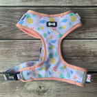 SQ3718864